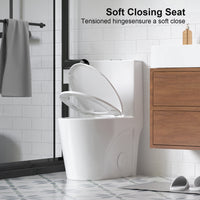 One-Piece Elongated Toilet with 1.1/1.6 GPF Dual Flush, 17" ADA Height and Soft-Close Seat