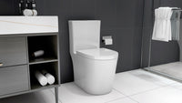23" Compact One-Piece Toilet with 0.8/1.6 GPF Dual Flush and Soft-Close Seat in White