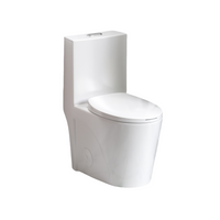 One-Piece Elongated Toilet with 1.1/1.6 GPF Dual Flush, 17" ADA Height and Soft-Close Seat