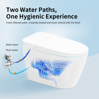 Tankless Smart Toilet with Built-In Bidet, Auto Flush, Heated Seat and Warm Water