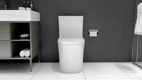 23" Compact One-Piece Toilet with 0.8/1.6 GPF Dual Flush and Soft-Close Seat in White