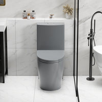 One-Piece Elongated Toilet with 1.1/1.6 GPF Dual Flush, 17" ADA Height and Soft-Close Seat